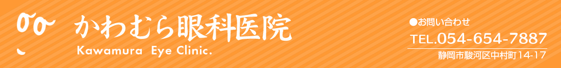 かわむら眼科医院　静岡市駿河区中村町